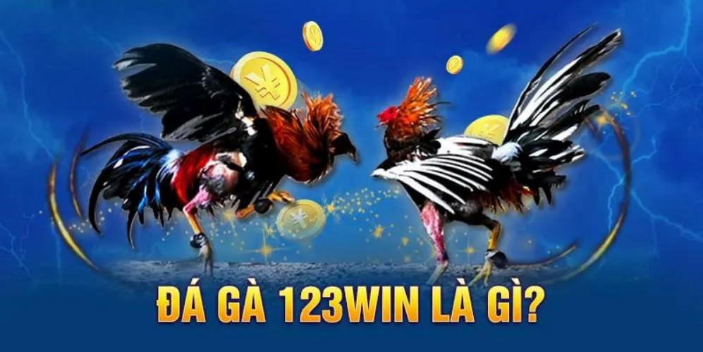 Đá gà 123win online là như thế nào?